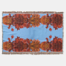 赤い紅葉と青い空