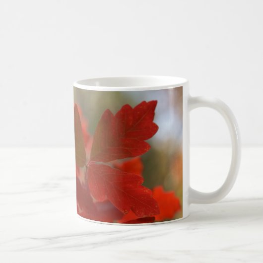 赤い紅葉のマグ コーヒーマグカップ (右)