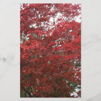 赤い紅葉の木 便箋