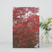 赤い紅葉の木 便箋 (スタンド正面)