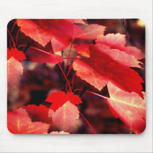 赤い紅葉自然 マウスパッド