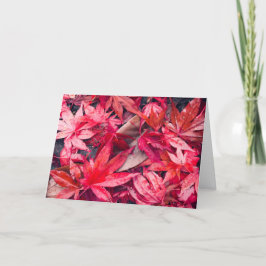 赤い紅葉 シーズンカード