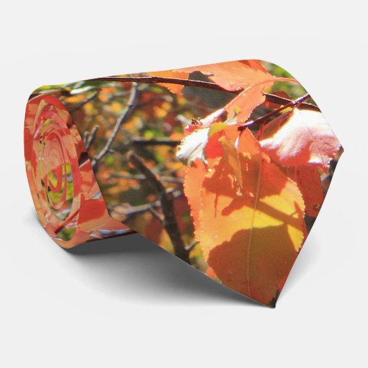 赤い紅葉 ネクタイ (ロール)