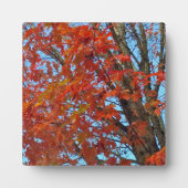 赤い紅葉 フォトプラーク (正面)