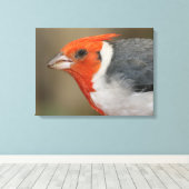 赤い紋付き（鳥）ショウジョウコウカンチョウ キャンバスプリント (インサイチュ (ウッドフロア))