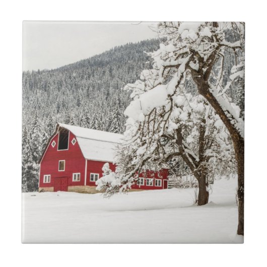 赤い納屋の新雪 タイル (正面)