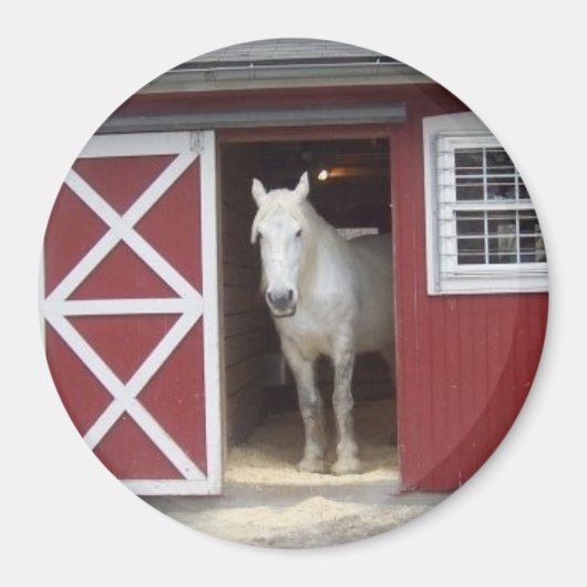 赤い納屋の白い馬 マグネット (正面)