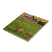 赤い納屋、干し草ベール、AlbionのPalouse区域2 タイル (側面)