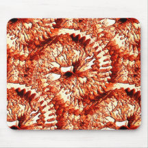 赤い素朴サンゴのロゼットを刻んだ反復