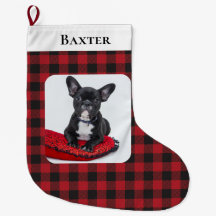 赤い素朴黒の小切手のペット写真犬