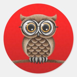 赤い細字用レンズを持つブラウンのかわいく柔らかいフクロウ ラウンドシール