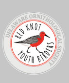 赤い結び目のロゴ付き若者フード付きスウェットシャツ (裾)