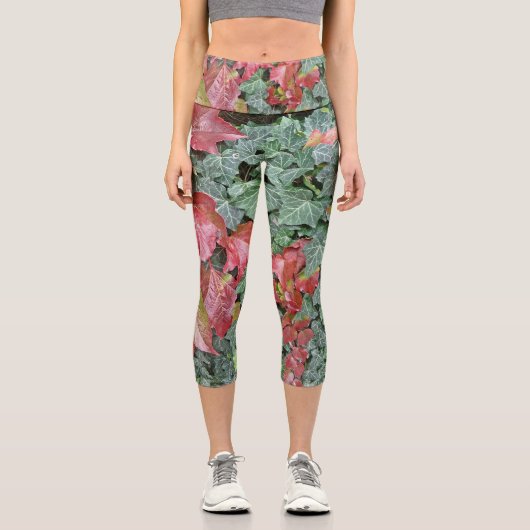 赤い緑のツタ葉秋秋の季節 カプリレギンス (正面)