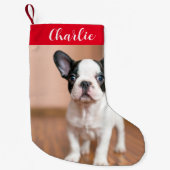 赤い緑の犬の写真パーソナライズされた名 スモールクリスマスストッキング (正面)