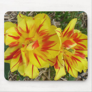 赤い縞模様の黄色の花 マウスパッド