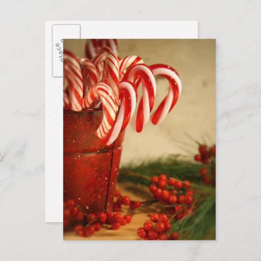 赤い缶詰のキャンディー缶と果実 ポストカード (正面/裏面)