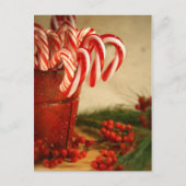 赤い缶詰のキャンディー缶と果実 ポストカード (正面)