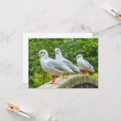 赤い義足のキチワク カード (正面/裏面インサイチュ)