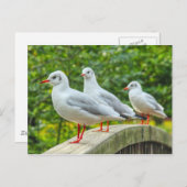 赤い義足のキチワク ポストカード (正面/裏面)