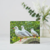 赤い義足のキチワク ポストカード (スタンド正面)