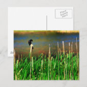 赤い翼のクロスズメ ポストカード (正面/裏面)