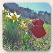 赤い翼の妖精と水仙 コースター (正面)