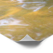 赤い耳のスライダハッチリング ポスター (角)