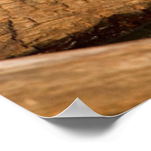 赤い耳のスライダーに立つ木のアヒルの雄 ポスター (角)