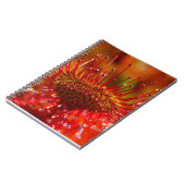 赤い肉食日露。 ノートブック (左側)