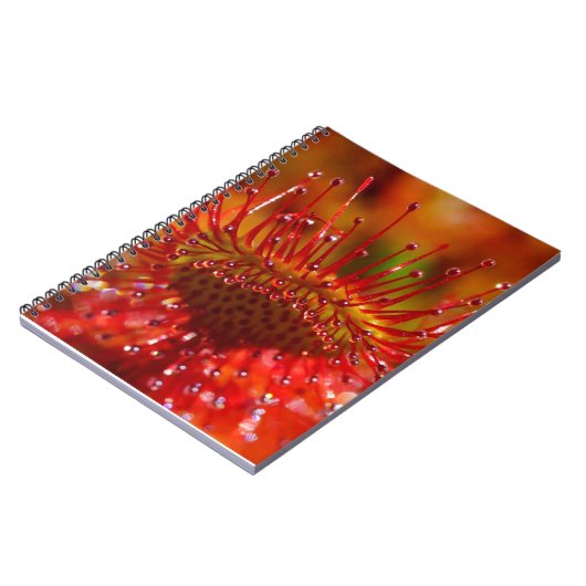 赤い肉食日露。 ノートブック (左側)