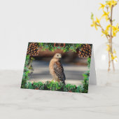 赤い肩の鷹のクリスマスカード カード (黄色い花)