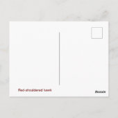 赤い肩掛けの鷹の葉書 ポストカード (裏面)