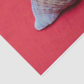 赤い背景に貝殻を塗る 薄葉紙 (詳細)