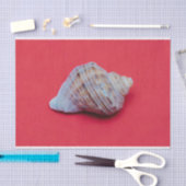 赤い背景に貝殻を塗る 薄葉紙 (クラフト)