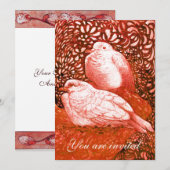 赤い背景の白い鳩 招待状 (正面/裏面)