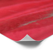 赤い背景リラックスに美しいペット猫 ポスター (角)