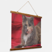 赤い背景リラックスに美しいペット猫 吊り下げ型タペストリー (傾斜あり)