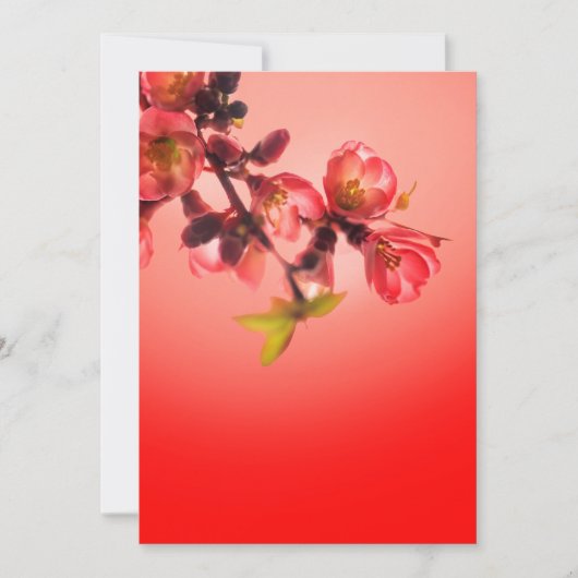 赤い背景上の春の花 シーズンカード (正面)