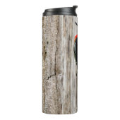 赤い胸のサプカーに出会う タンブラー (回転左)