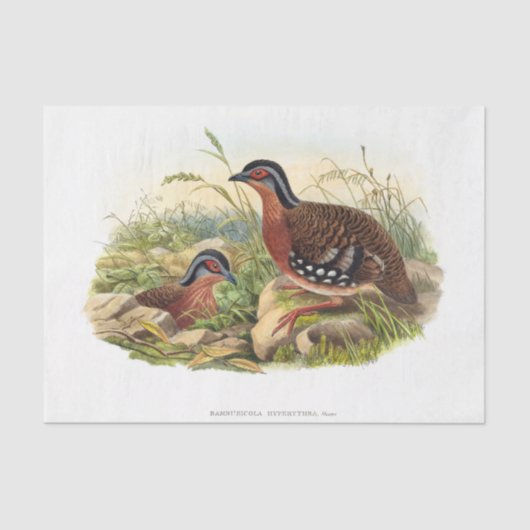 赤い胸のパトリッジのデコパージュ 薄葉紙 (正面)