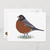 赤い胸を持つアメリカのロビン・デジタル描・バード ポストカード (正面/裏面)