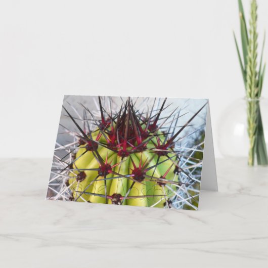 赤い脊柱プロダクト カード (正面)