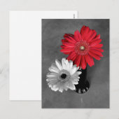 赤い色の飛沫がついたガーベラのデイジーの写真 ポストカード (正面/裏面)