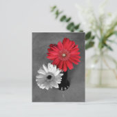 赤い色の飛沫が印象的なガーベラのデイジー写真 ポストカード (スタンド正面)