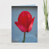 赤い色 カード (正面)