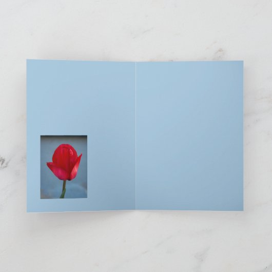 赤い色 カード (内部)