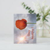 赤い花で健康を保つ ポストカード (スタンド正面)