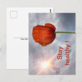 赤い花で健康を保つ ポストカード (正面/裏面)