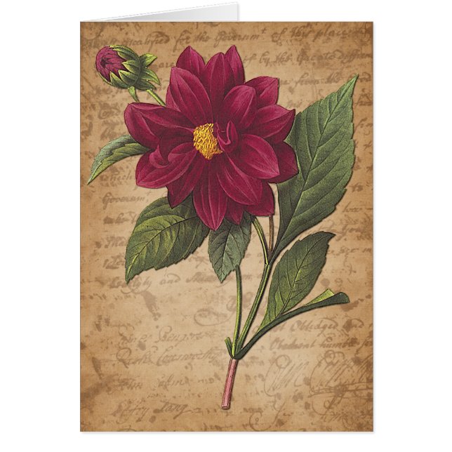 赤い花と手紙 (正面)