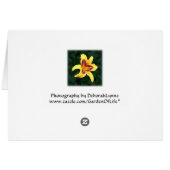 赤い花と黄色のユリの花、エメロカリス： (裏面横)